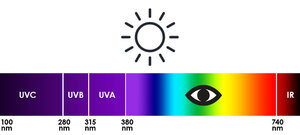 UV and visible light spectrum.
