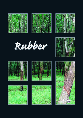 Literature Rubber – a basic education